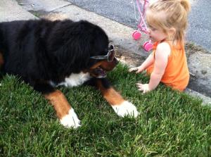 179723_611630905835_1156390072_n