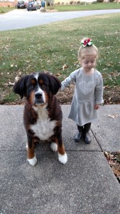 IMG_20141122_151243101